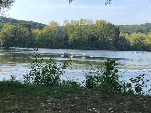 Added a photo to a location