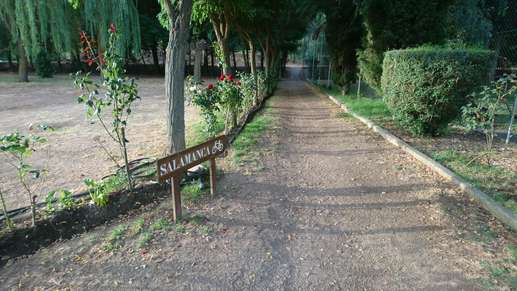 Added a photo to a location