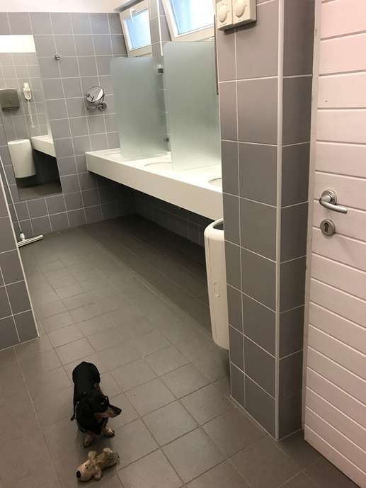 Aggiunta una foto a una posizione