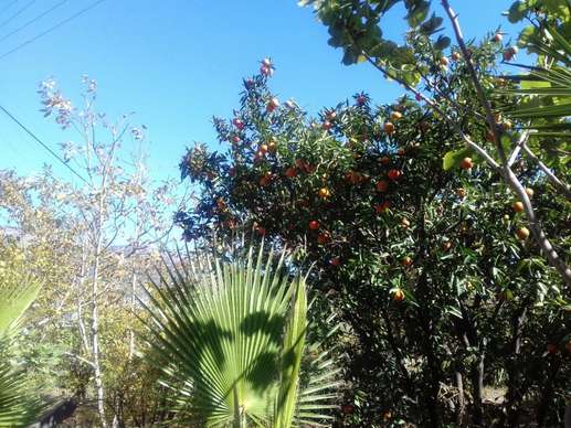 Added a photo to a location