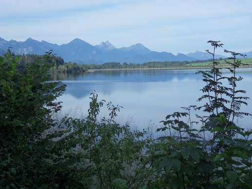 Added a photo to a location