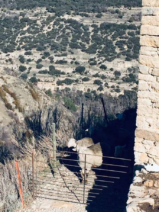Aggiunta una foto a una posizione
