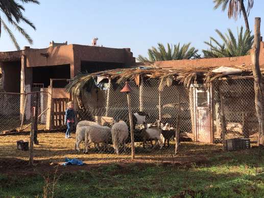 Aggiunta una foto a una posizione