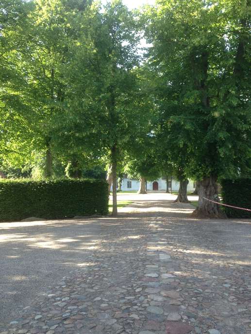Added a photo to a location