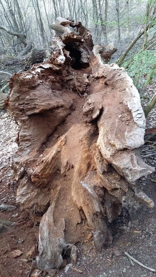 Aggiunta una foto a una posizione