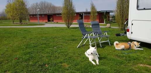 Aggiunta una foto a una posizione