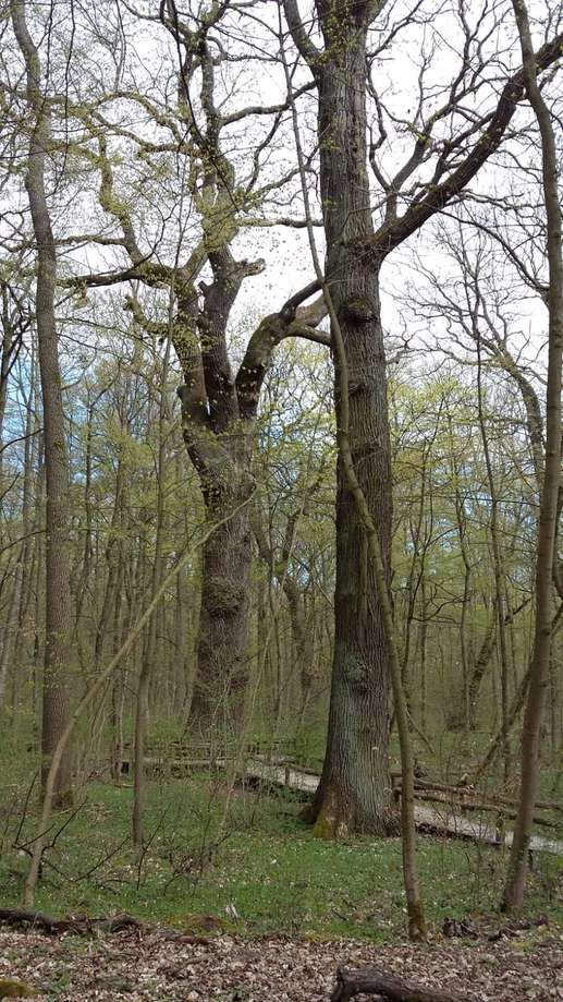 Aggiunta una foto a una posizione