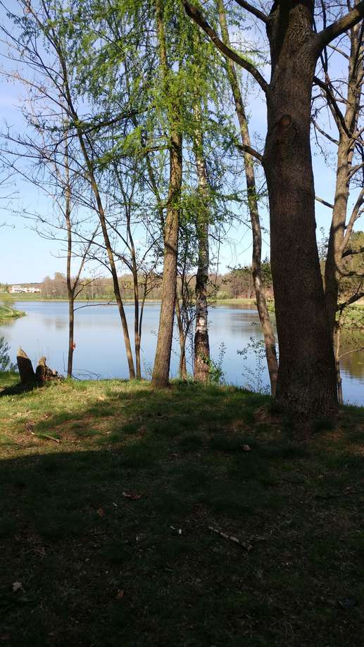 Added a photo to a location