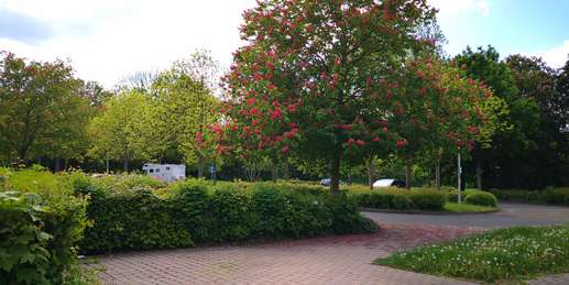 Added a photo to a location