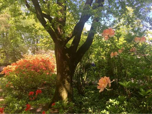 Added a photo to a location