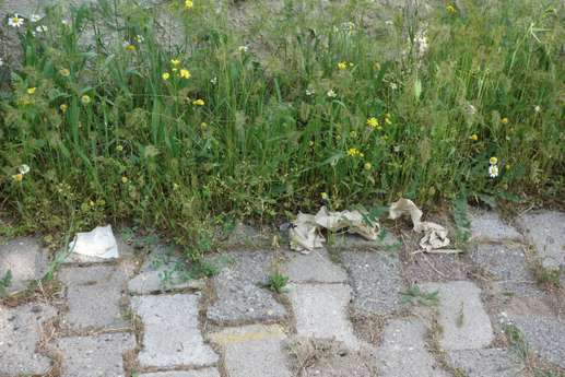 Aggiunta una foto a una posizione