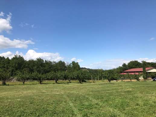 Een foto toegevoegd aan een locatie