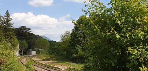 Een foto toegevoegd aan een locatie