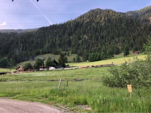 Added a photo to a location