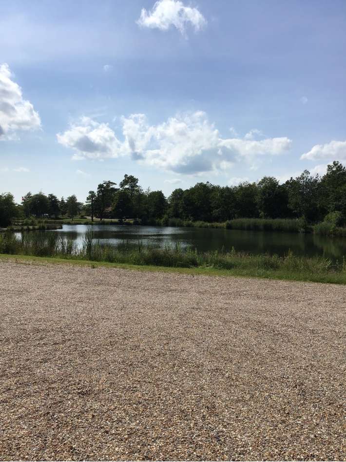 Ribehøj Camping