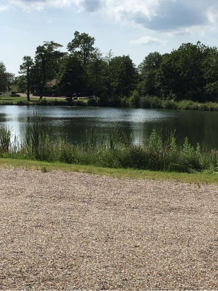Ribehøj Camping