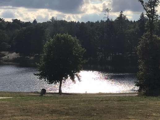 Added a photo to a location