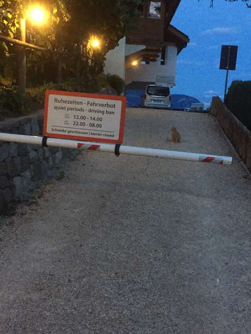 Einem Ort wurde ein Foto hinzugefügt