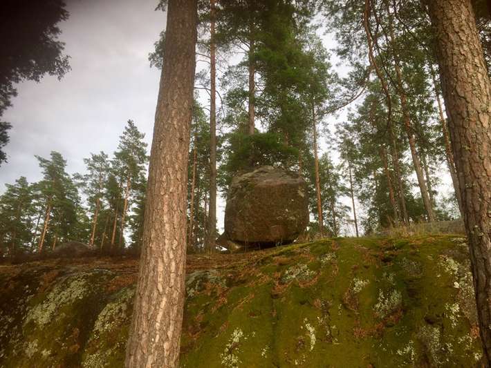 Naturcamping Hesjöns badplats