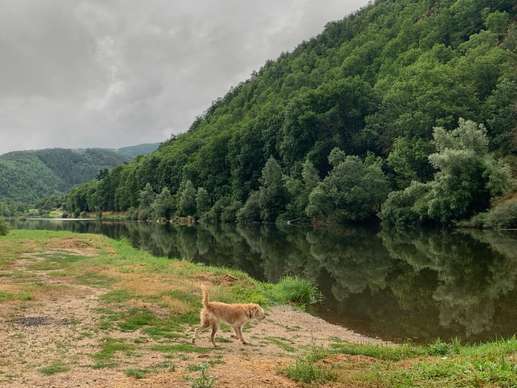 Een foto toegevoegd aan een locatie