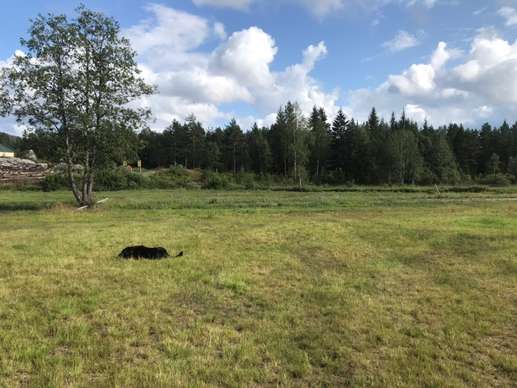 Added a photo to a location