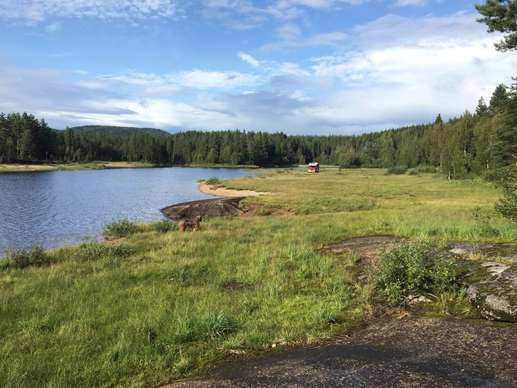 Een foto toegevoegd aan een locatie