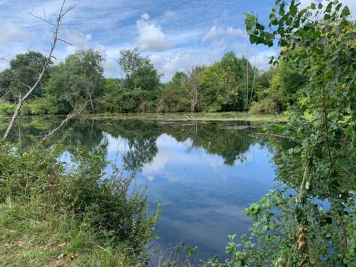 Added a photo to a location