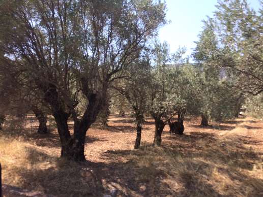 Added a photo to a location