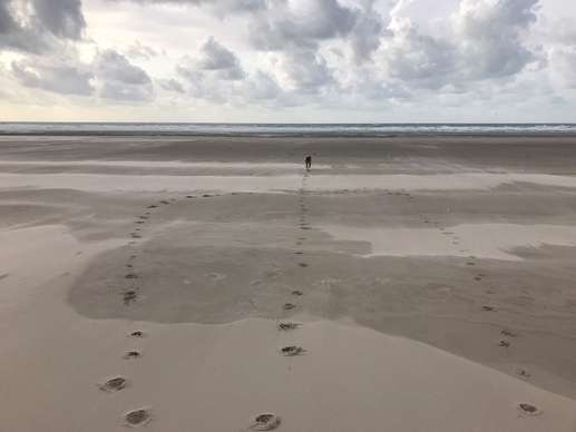Een foto toegevoegd aan een locatie