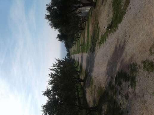 Añadió una foto a una ubicación