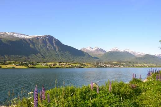 Added a photo to a location