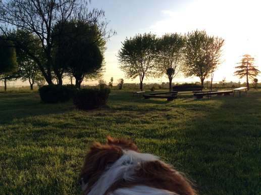 Een foto toegevoegd aan een locatie