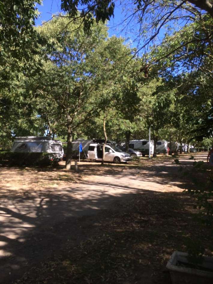 Camping a l'Ombre des Micocouliers