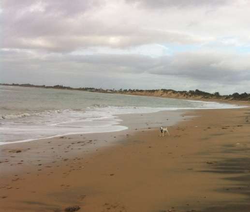 Added a photo to a location