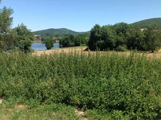 Added a photo to a location