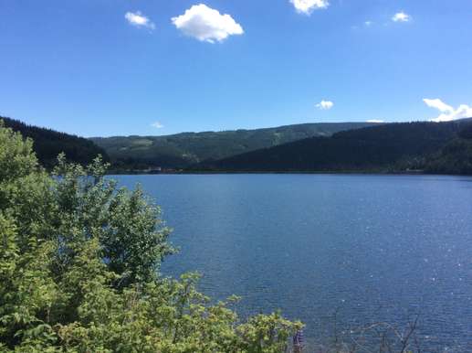 Added a photo to a location
