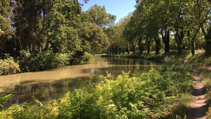 Camping a l'Ombre des Micocouliers