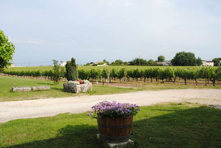 Vignoble Grateaud