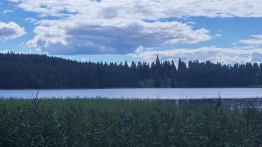 Een foto toegevoegd aan een locatie