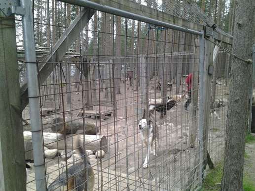 Aggiunta una foto a una posizione
