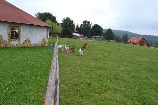 Added a photo to a location
