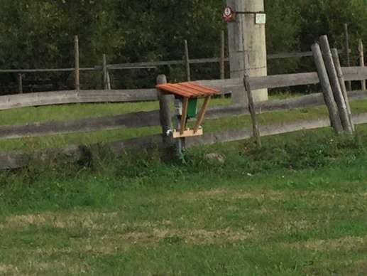 Added a photo to a location