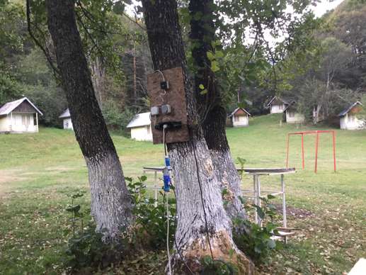Added a photo to a location