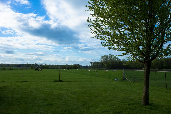 SVR Camping Weidezicht