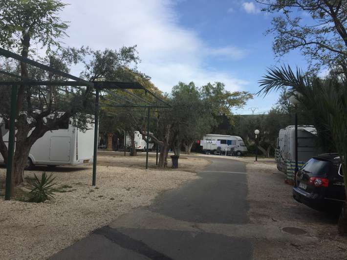 Camping Las Palmeras