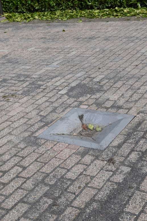 Añadió una foto a una ubicación