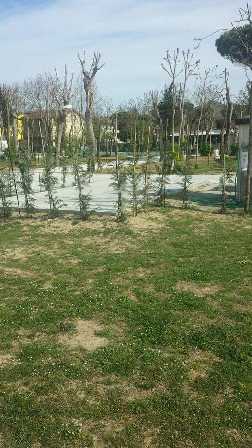 Added a photo to a location