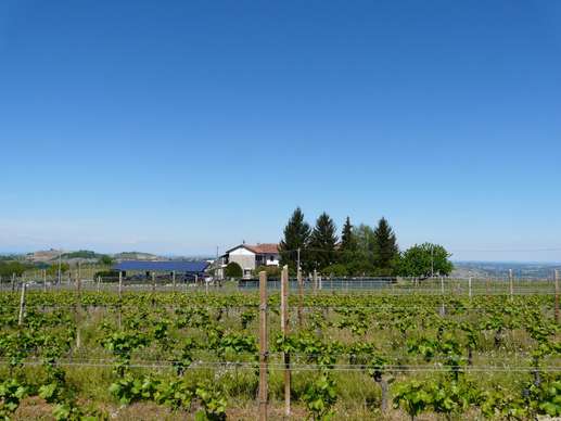 Added a photo to a location
