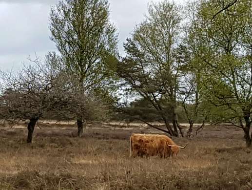 Ajout d'une photo à un emplacement
