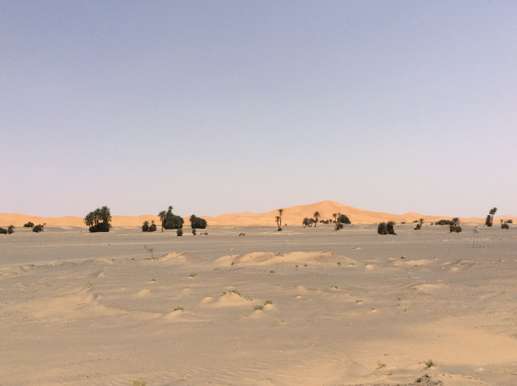 Een foto toegevoegd aan een locatie